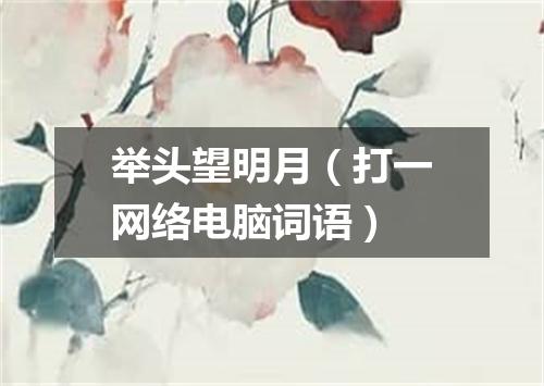 举头望明月（打一网络电脑词语）
