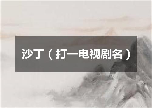 沙丁（打一电视剧名）