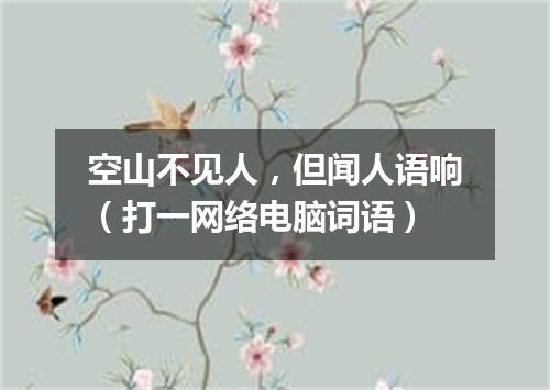 空山不见人，但闻人语响（打一网络电脑词语）