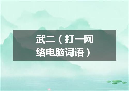 武二（打一网络电脑词语）