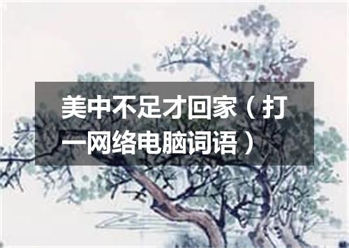 美中不足才回家（打一网络电脑词语）
