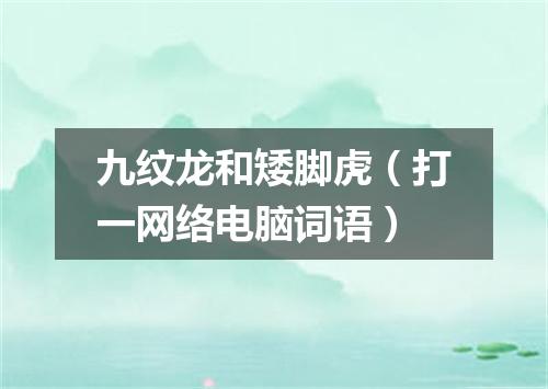 九纹龙和矮脚虎（打一网络电脑词语）