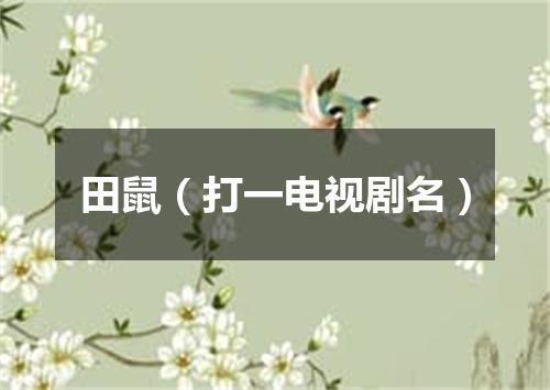田鼠（打一电视剧名）