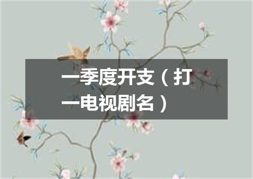 一季度开支（打一电视剧名）