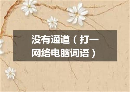 没有通道（打一网络电脑词语）