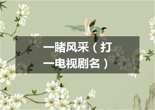 一睹风采（打一电视剧名）