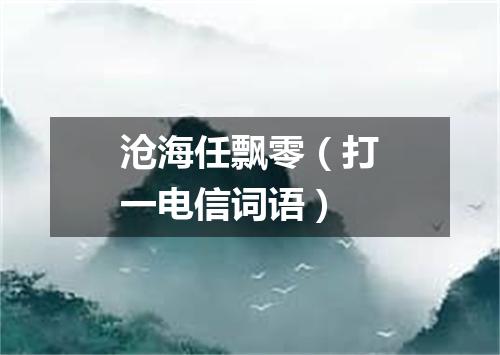 沧海任飘零（打一电信词语）