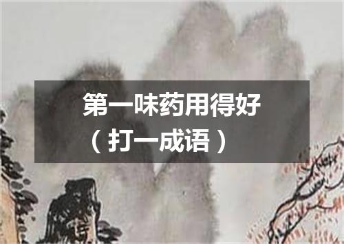 第一味药用得好（打一成语）