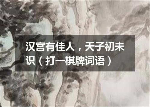 汉宫有佳人，天子初未识（打一棋牌词语）