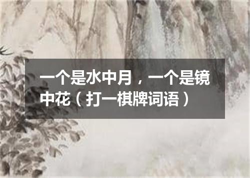 一个是水中月，一个是镜中花（打一棋牌词语）