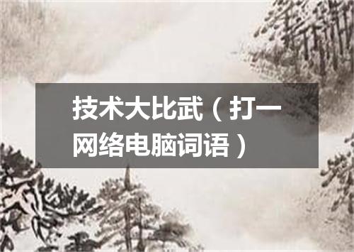 技术大比武（打一网络电脑词语）