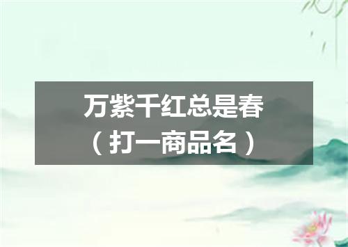 万紫千红总是春（打一商品名）