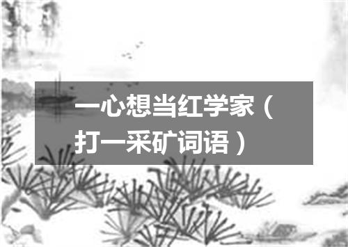 一心想当红学家（打一采矿词语）
