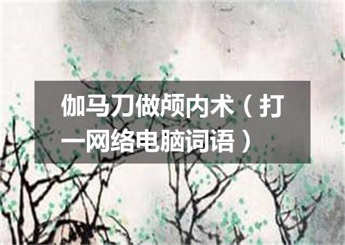 伽马刀做颅内术（打一网络电脑词语）