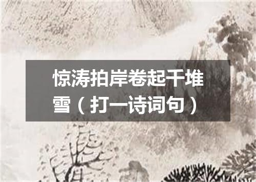 惊涛拍岸卷起千堆雪（打一诗词句）