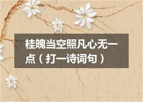 桂魄当空照凡心无一点（打一诗词句）