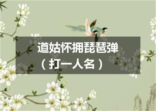 道姑怀拥琵琶弹（打一人名）
