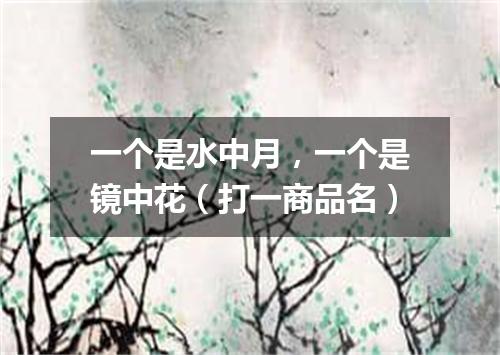 一个是水中月，一个是镜中花（打一商品名）