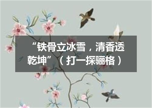 “铁骨立冰雪，清香透乾坤”（打一探骊格）