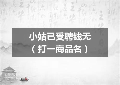 小姑已受聘钱无（打一商品名）
