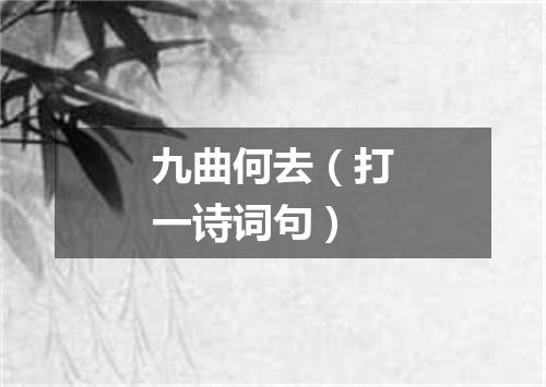 九曲何去（打一诗词句）
