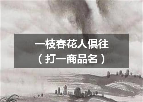 一枝春花人俱往（打一商品名）