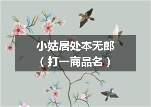 小姑居处本无郎（打一商品名）