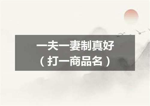 一夫一妻制真好（打一商品名）