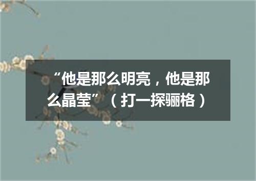 “他是那么明亮，他是那么晶莹”（打一探骊格）