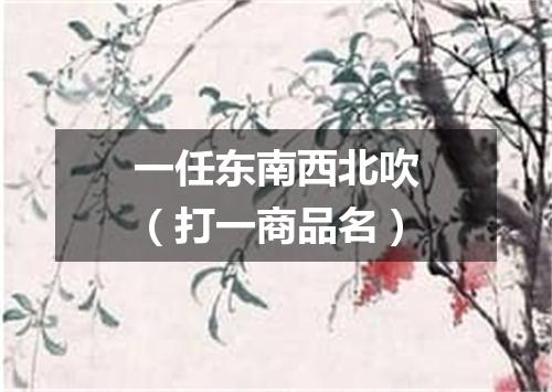 一任东南西北吹（打一商品名）