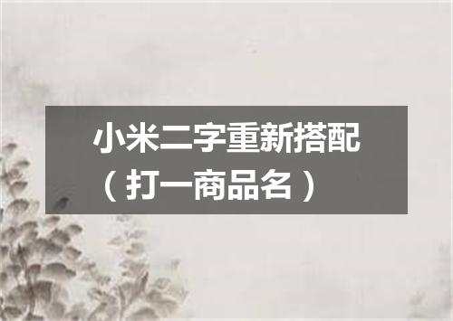 小米二字重新搭配（打一商品名）
