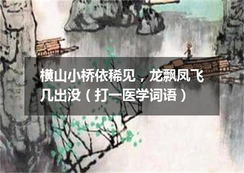 横山小桥依稀见，龙飘凤飞几出没（打一医学词语）