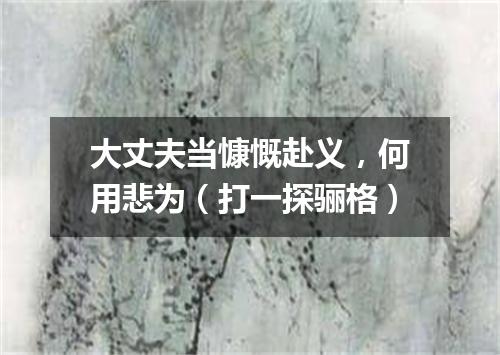 大丈夫当慷慨赴义，何用悲为（打一探骊格）