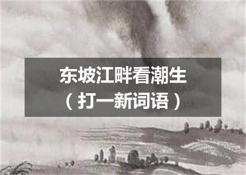 东坡江畔看潮生（打一新词语）