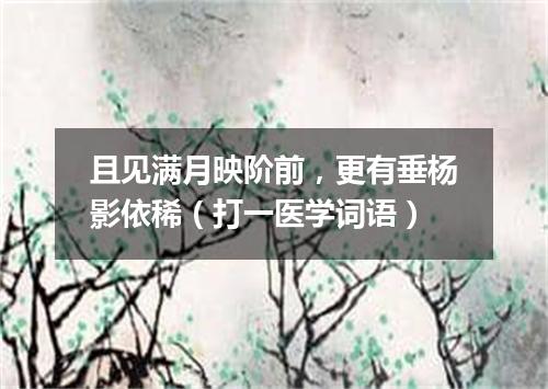 且见满月映阶前，更有垂杨影依稀（打一医学词语）