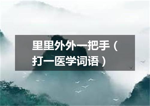 里里外外一把手（打一医学词语）