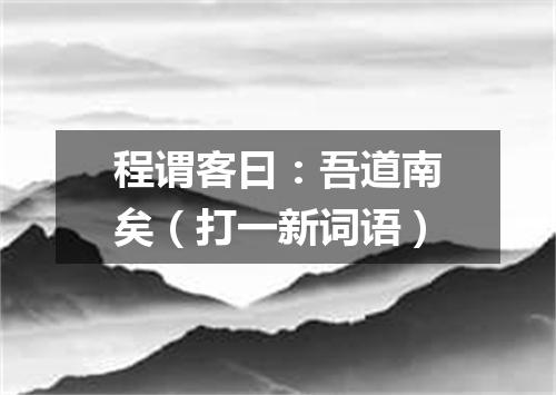 程谓客曰：吾道南矣（打一新词语）