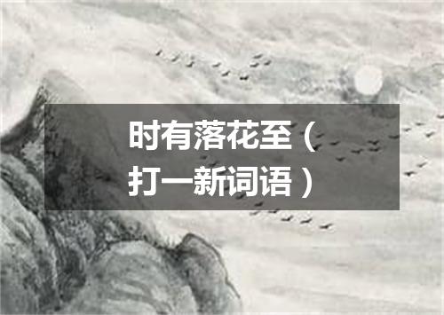 时有落花至（打一新词语）