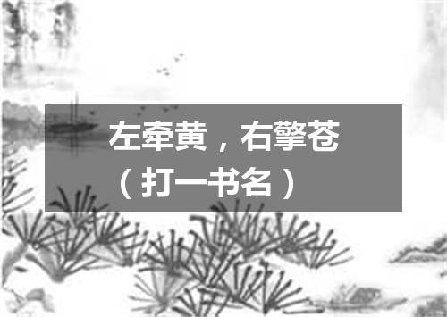 左牵黄，右擎苍（打一书名）