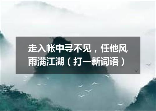 走入帐中寻不见，任他风雨满江湖（打一新词语）