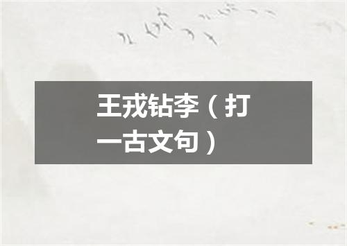 王戎钻李（打一古文句）