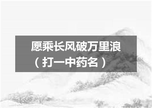 愿乘长风破万里浪（打一中药名）
