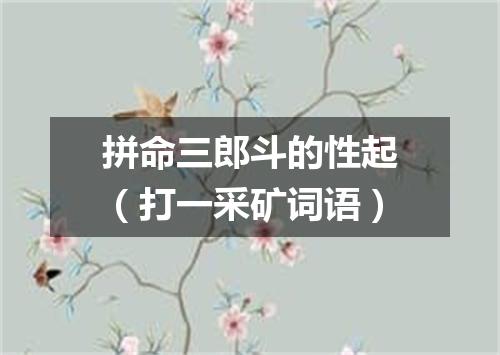 拼命三郎斗的性起（打一采矿词语）