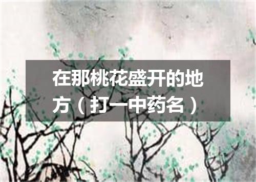 在那桃花盛开的地方（打一中药名）