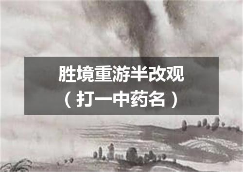 胜境重游半改观（打一中药名）