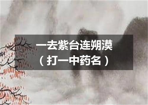 一去紫台连朔漠（打一中药名）