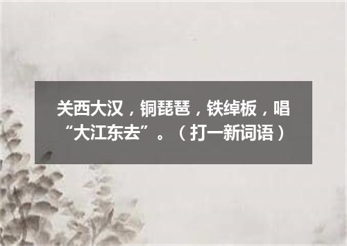 关西大汉，铜琵琶，铁绰板，唱“大江东去”。（打一新词语）