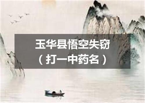 玉华县悟空失窃（打一中药名）