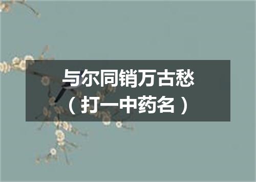 与尔同销万古愁（打一中药名）