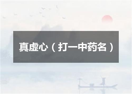 真虚心（打一中药名）